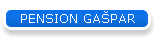 PENSION GA�PAR